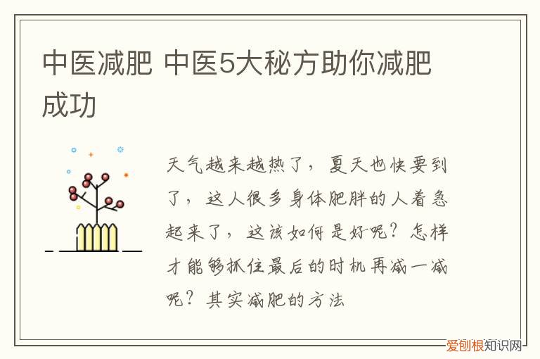 中医减肥 中医5大秘方助你减肥成功