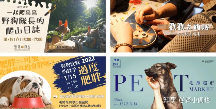 宠物主题ppt，赏析│有关宠物主题的课程活动banner设计