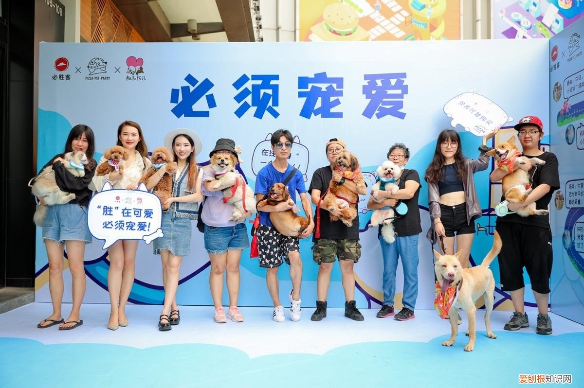 520爱情,520因爱相遇,必胜客发起“宠物友好”主题聚会