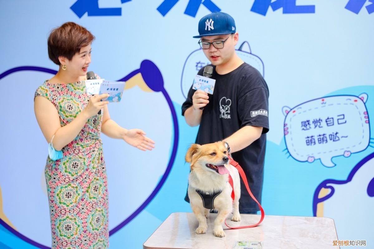 520爱情,520因爱相遇,必胜客发起“宠物友好”主题聚会