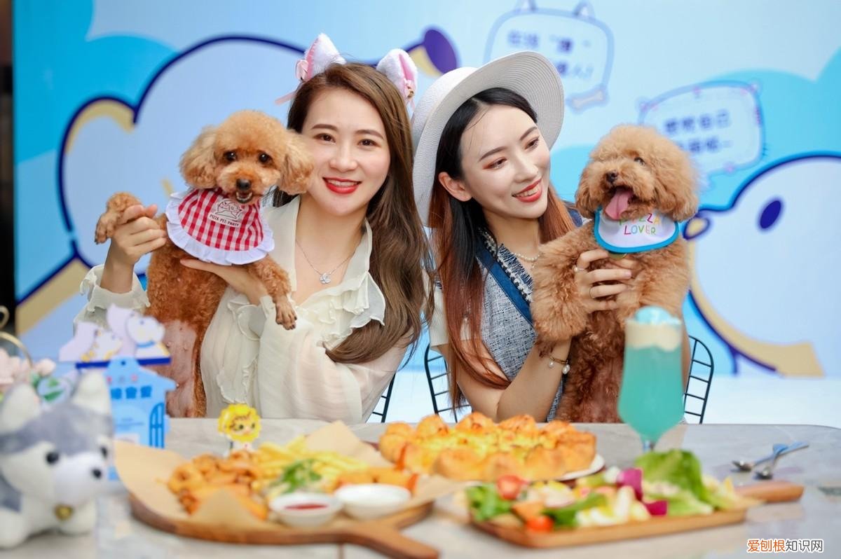 520爱情,520因爱相遇,必胜客发起“宠物友好”主题聚会