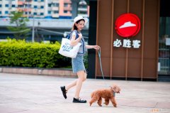 520爱情，520因爱相遇，必胜客发起“宠物友好”主题聚会