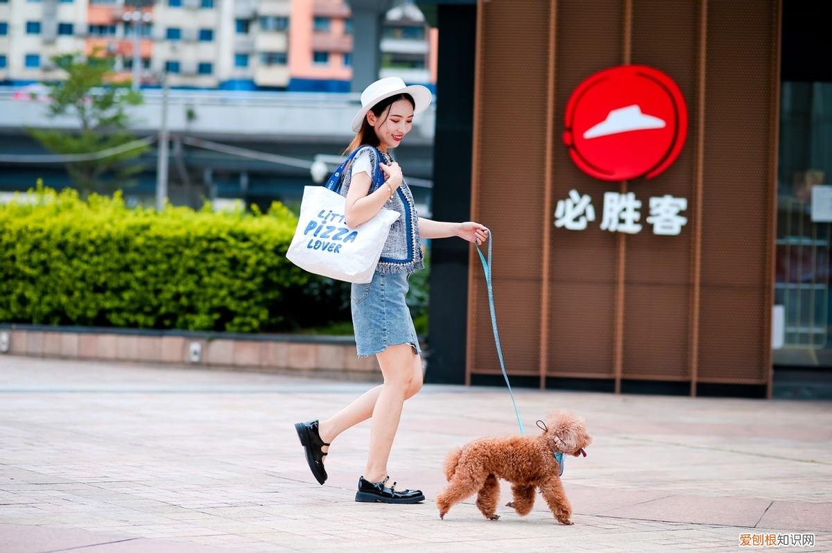 520爱情,520因爱相遇,必胜客发起“宠物友好”主题聚会