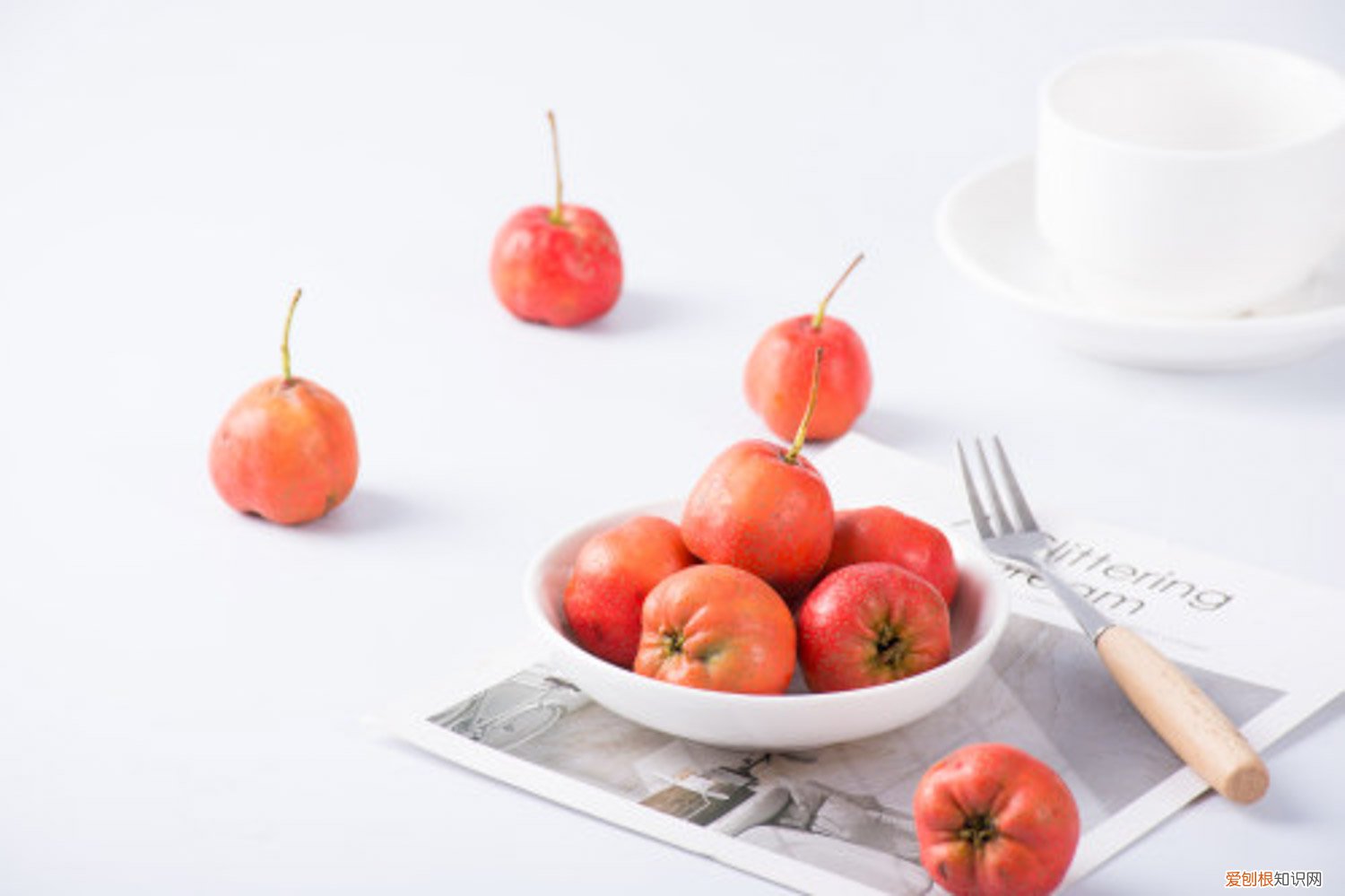 山楂树苗种植和管理方法 山楂树苗怎么种植