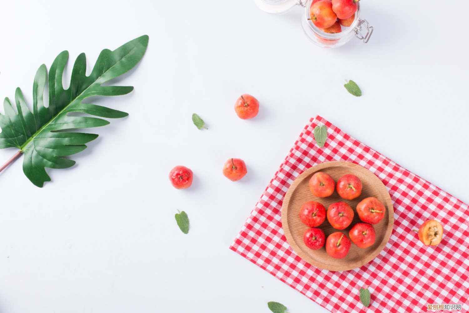 山楂树苗种植和管理方法 山楂树苗怎么种植