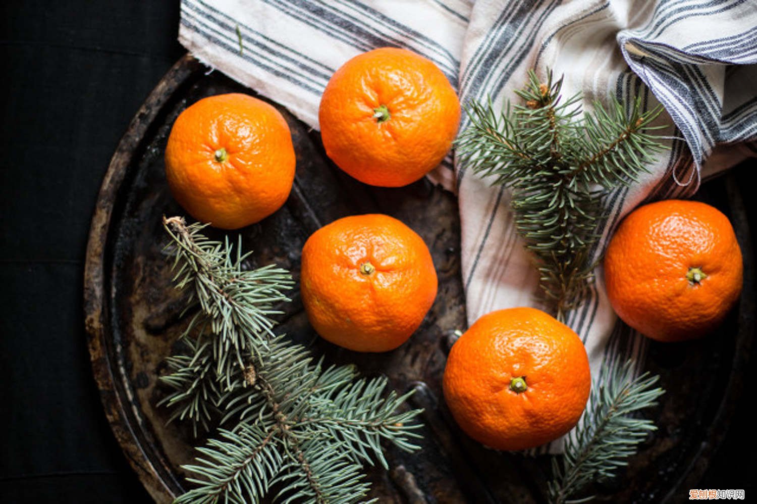 橘子嫁接时间多长 橘子嫁接时间