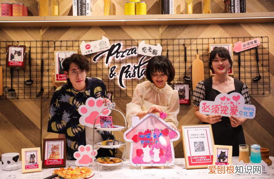 北京观复博物馆观复猫，北京必胜客联合观复博物馆观复猫发起“宠物友好”主题活动