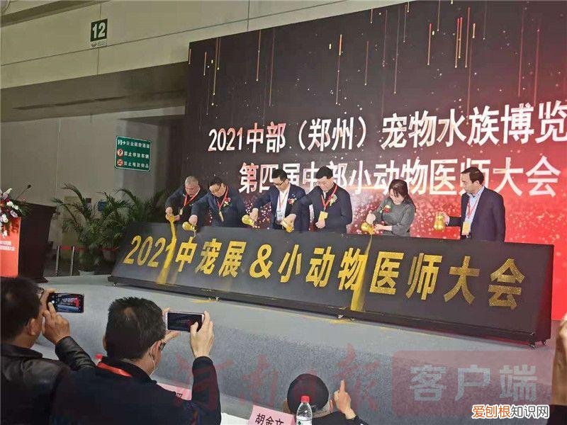 2021宠物展会时间,2021年“中部宠物第一展”:“萌宠”嘉年华 新潮“宠”经济
