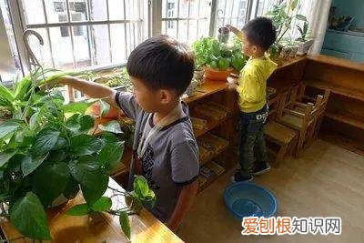 浇花培养孩子什么能力,养花要从小培养,浇浇水施施肥,让孩子体会到动手的乐趣