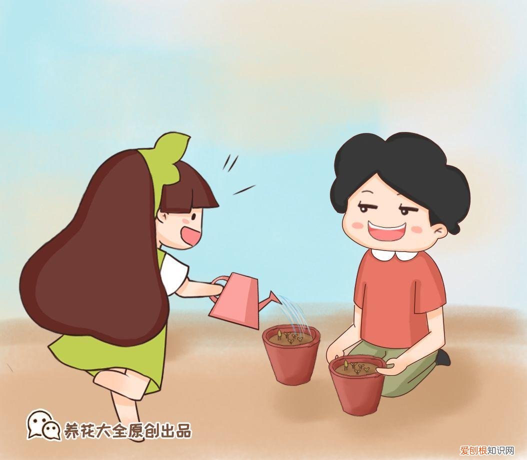浇花培养孩子什么能力,养花要从小培养,浇浇水施施肥,让孩子体会到动手的乐趣