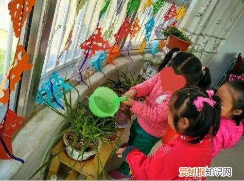 浇花培养孩子什么能力,养花要从小培养,浇浇水施施肥,让孩子体会到动手的乐趣