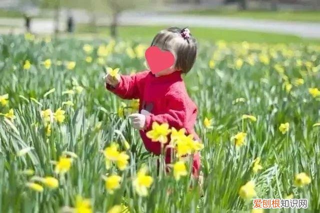 浇花培养孩子什么能力,养花要从小培养,浇浇水施施肥,让孩子体会到动手的乐趣