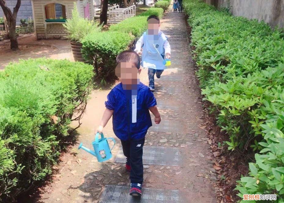 浇花培养孩子什么能力,养花要从小培养,浇浇水施施肥,让孩子体会到动手的乐趣