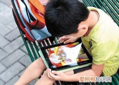 浇花培养孩子什么能力,养花要从小培养,浇浇水施施肥,让孩子体会到动手的乐趣