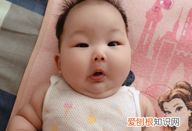 婴儿发展阶段0到12个月，0-12个月育儿重点：不同阶段娃发育特点及重点培养能力，收藏