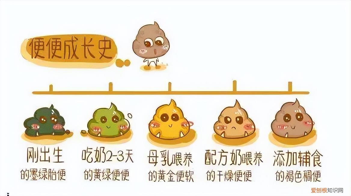 针对新手妈妈常见的育儿问题，新手妈妈该知道哪些必备的育儿知识？趁早了解，育儿无烦恼