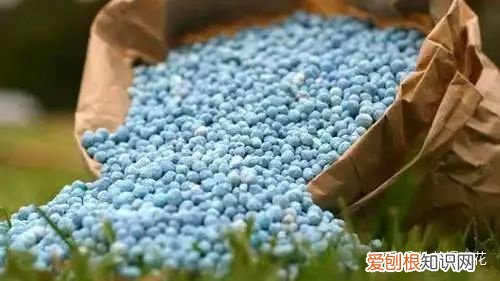 9 植物需要钾，【养花必看】园艺小知识——钾肥