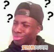 关于宠物的问题大全，宠物知识“四六级”考卷，你敢来和新员工小王一决高下吗？