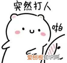 关于宠物的问题大全，宠物知识“四六级”考卷，你敢来和新员工小王一决高下吗？