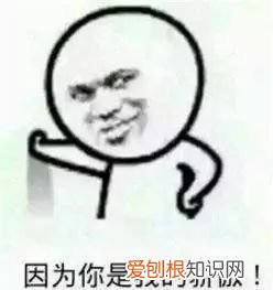 关于宠物的问题大全，宠物知识“四六级”考卷，你敢来和新员工小王一决高下吗？