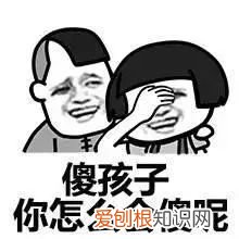 关于宠物的问题大全，宠物知识“四六级”考卷，你敢来和新员工小王一决高下吗？