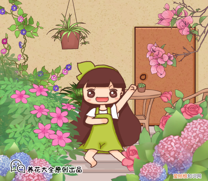 如何快速养花,这3个养花技巧,1分钟就能学会,轻轻松松养活1000盆花