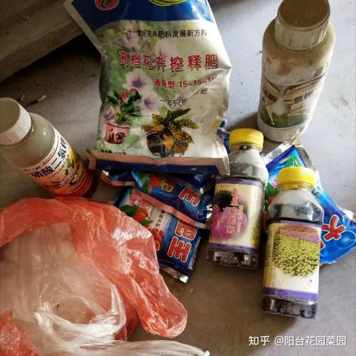 四季养花实用宝典电子版，养花牢记“3口诀”，啥花都能养好，阳台变花园，四季花不败