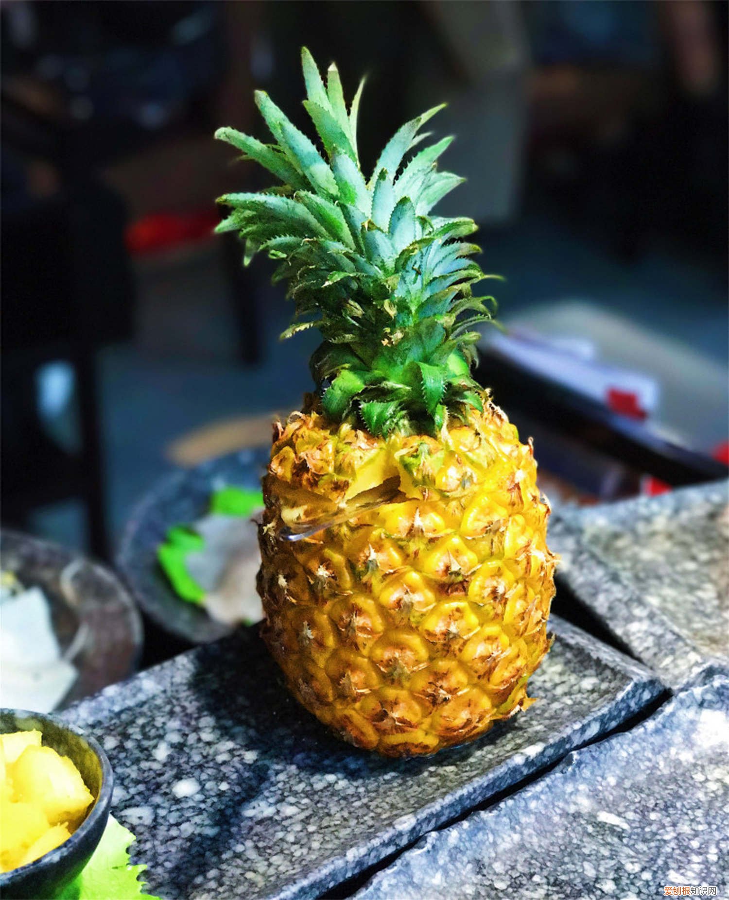 菠萝怎么育种 菠萝怎么繁殖