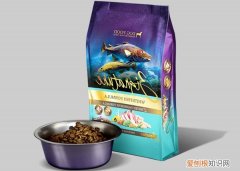 闻到了狗粮的味道怎么办 闻到了狗粮的味道