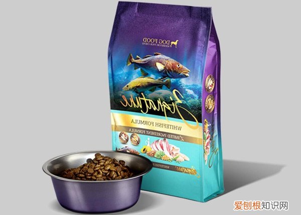 闻到了狗粮的味道怎么办 闻到了狗粮的味道