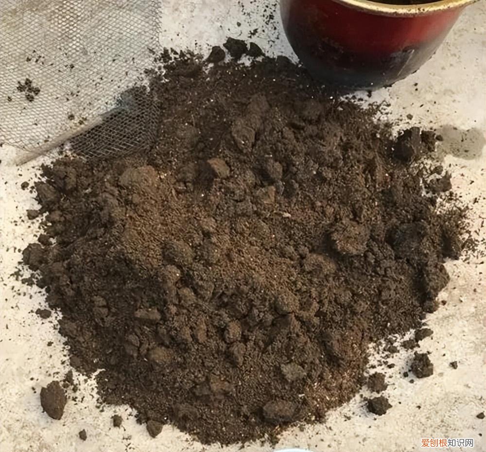 花肥有毒吗?，养花不用买肥料，这“5种肥”随处可见，捡回来养花，花草疯着长