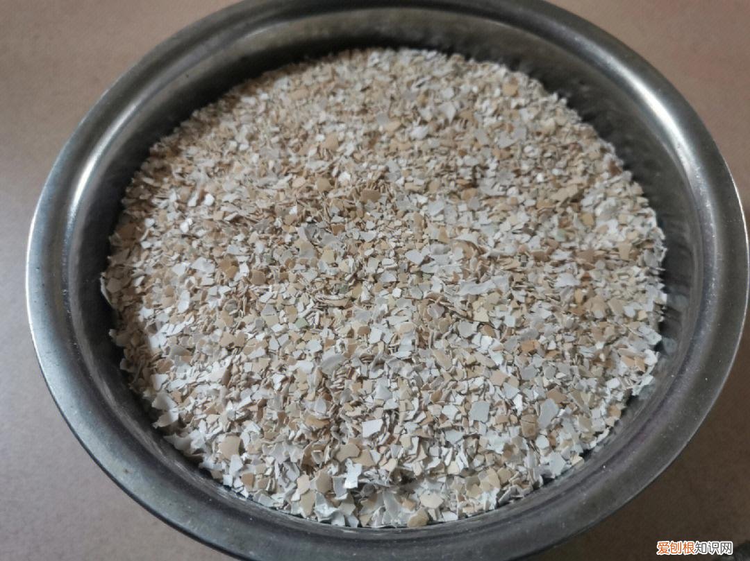 花肥有毒吗?，养花不用买肥料，这“5种肥”随处可见，捡回来养花，花草疯着长