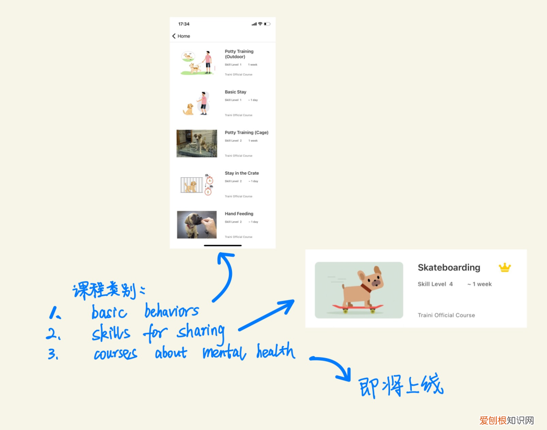 观望3年，准备7个月，我在湾区做了一个宠物训练App