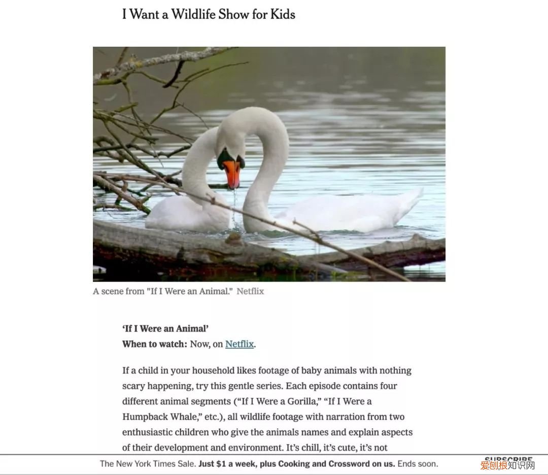 早教视频动画片全集，去哪儿找优质的早教动画资源？