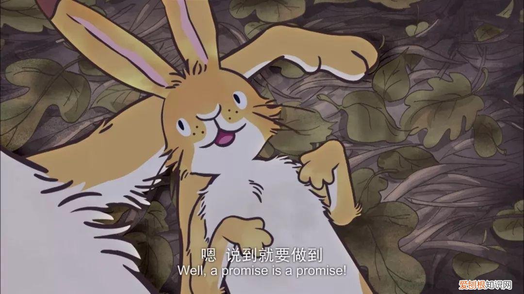 早教视频动画片全集，去哪儿找优质的早教动画资源？