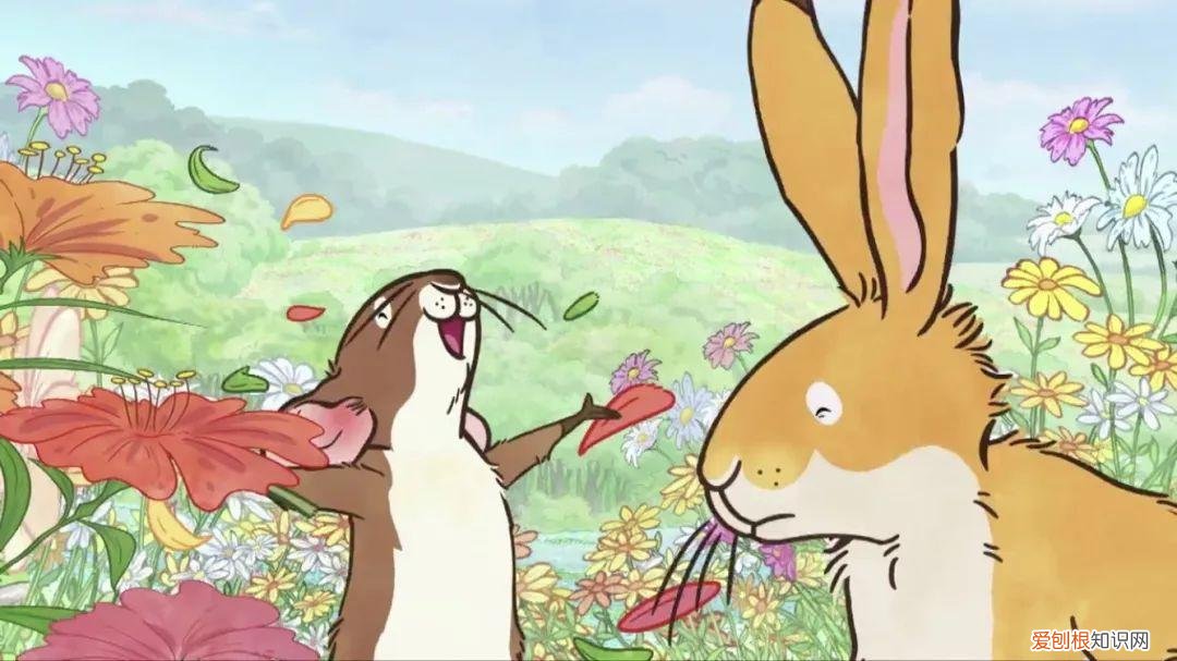 早教视频动画片全集，去哪儿找优质的早教动画资源？