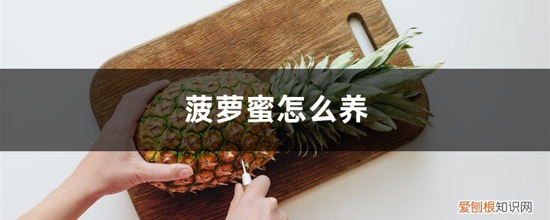 菠萝蜜怎么养在家里 菠萝蜜怎么养