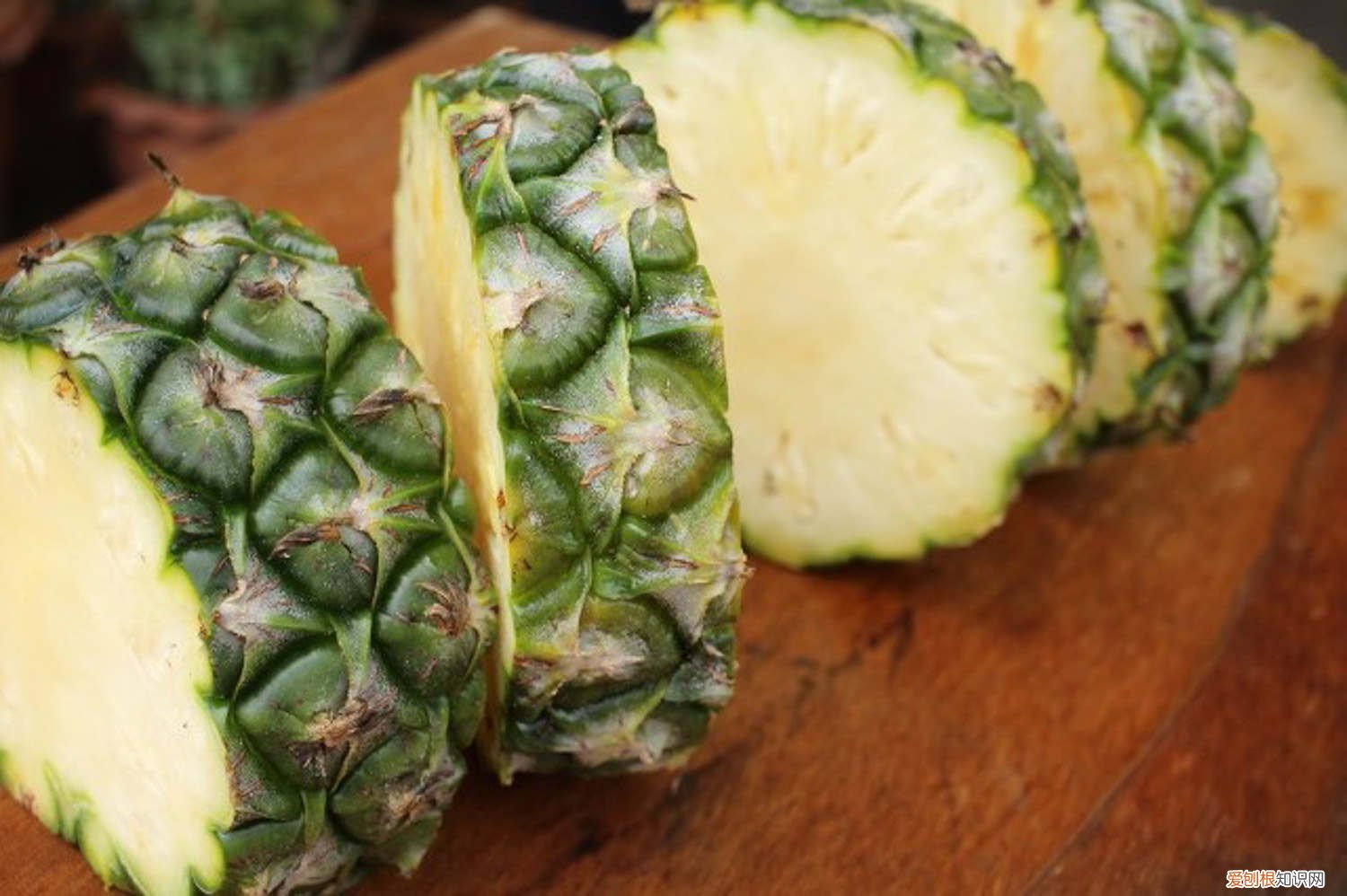 菠萝蜜怎么养在家里 菠萝蜜怎么养