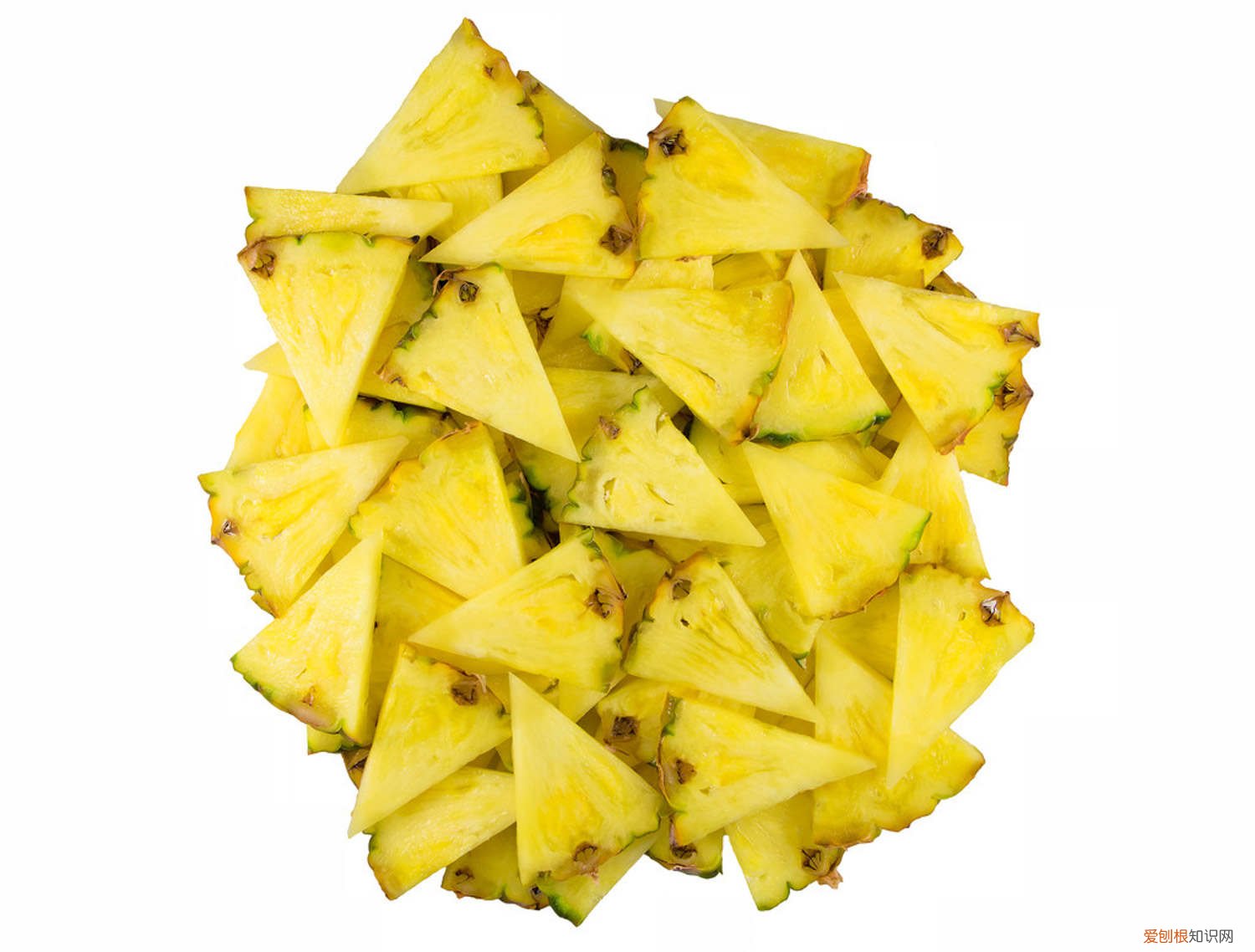 菠萝蜜怎么养在家里 菠萝蜜怎么养