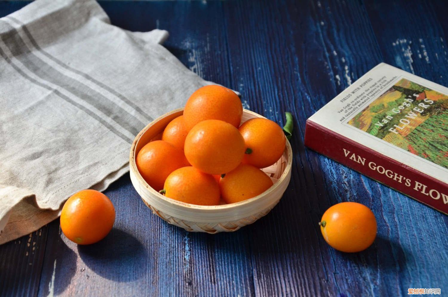 金桔什么时候嫁接好 金桔嫁接时间