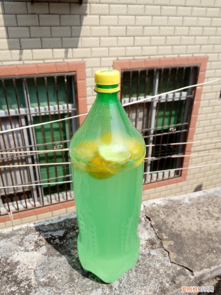 花怎么越养越好,4个养花小技巧,资深花友才知道,花不死还越长越旺盛