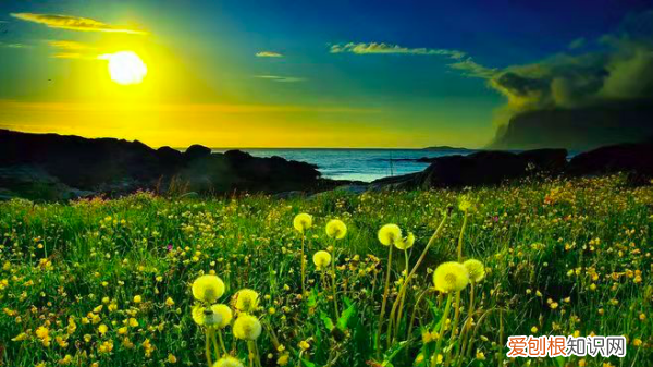 巍峨雄奇 的意思，巍峨雄奇的意思解释词语