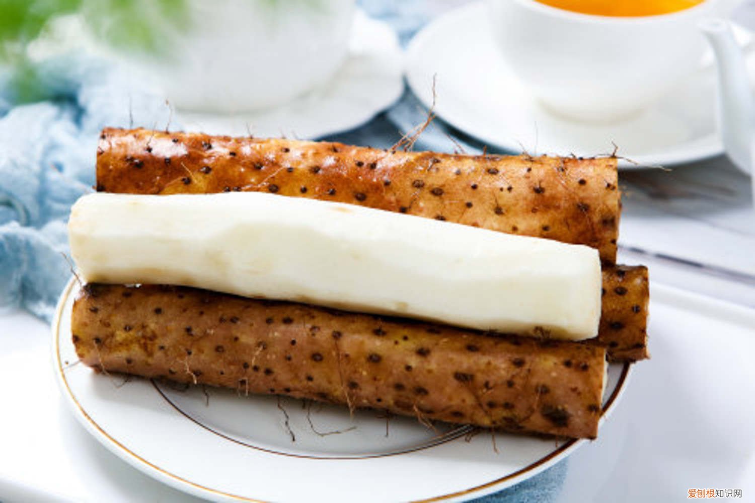 山药什么时间种植 山药什么季节种植