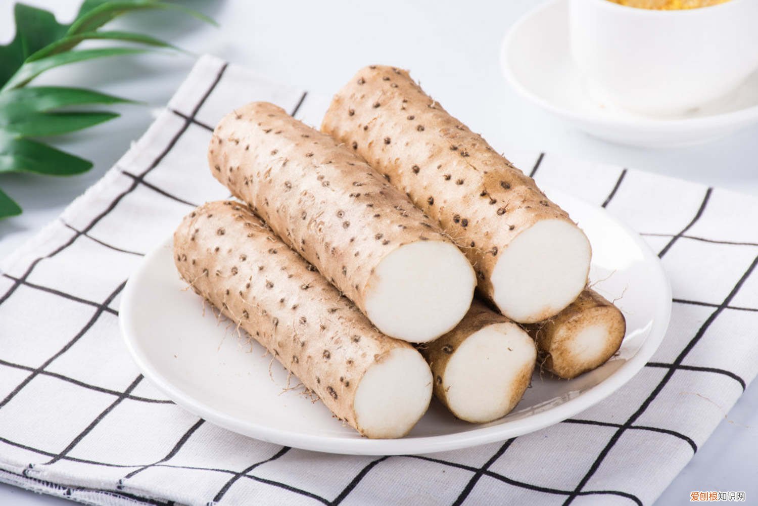 山药什么时间种植 山药什么季节种植