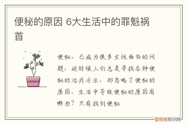 便秘的原因 6大生活中的罪魁祸首