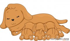 二年级阅读手抄报小狗的小房子，快乐读书吧二年级小狗的小房子读书手抄报小报+期末考试练