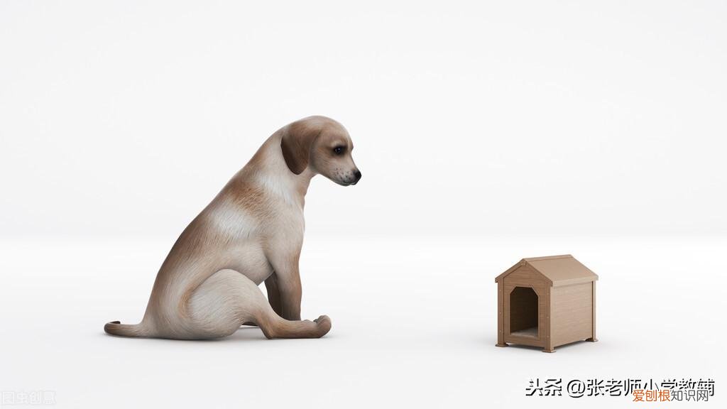 二年级阅读手抄报小狗的小房子,快乐读书吧二年级小狗的小房子读书手抄报小报+期末考试练习题