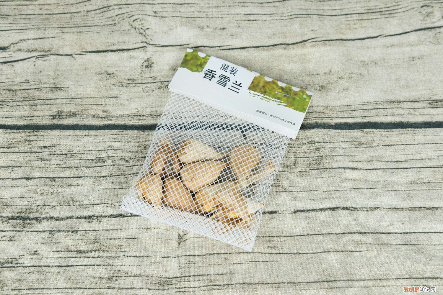 香雪兰种子怎么种植视频 香雪兰种子怎么种植