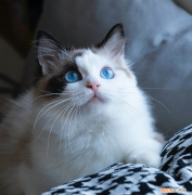 80个良好的日常习惯，大家收藏起来吧