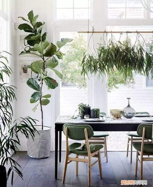 你有喜欢的花吗他们带给你怎样的思考，喜欢花，不知道怎么开始，不如从这4点开始了解，学会了一套通用